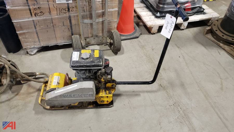 Auctions International Auction Albany Water DeptNY 25644 ITEM Robin EY15 Tamper